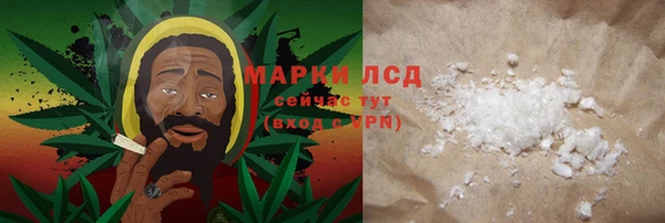стаф Богданович