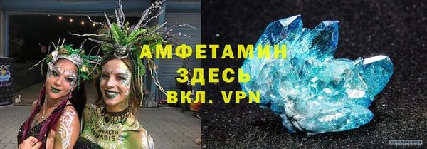 стаф Богданович