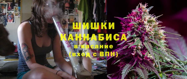 ПСИЛОЦИБИНОВЫЕ ГРИБЫ Богородицк