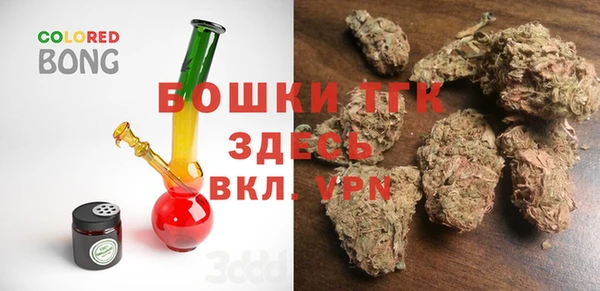 стаф Богданович