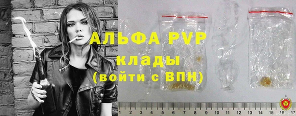 стаф Богданович