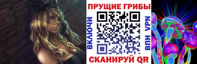Псилоцибиновые грибы Psilocybine cubensis  Брюховецкая 